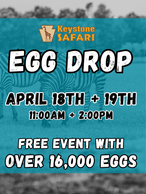 Keystone Safari Egg Drop | April 18th & 19th